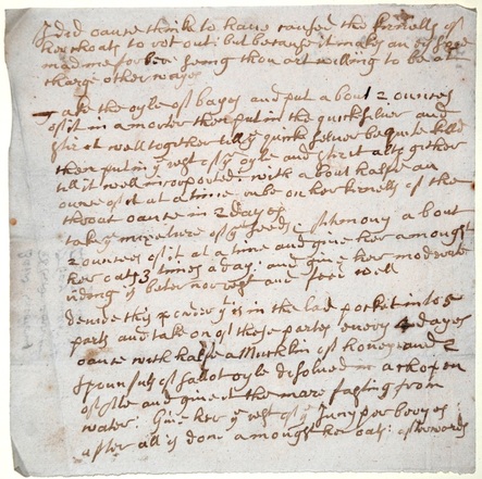 A 17th century recipe for the treatment of horses